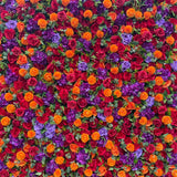 Orange, Red & Purple Foliage Flower Wall - Starlight Flower Walls