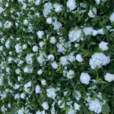 Flower Wall Packages - Starlight Flower Walls