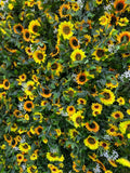 Sunflower Flower Wall with Gypsophila Close Up - Starlight Flower Walls