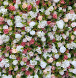 Pink, White & Yellow Foliage Flower Wall - Starlight Flower Walls