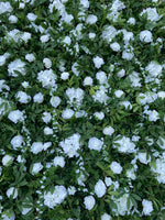 Green Foliage Flower Wall with Whites & Wisteria - Starlight Flower Walls